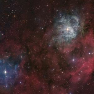 Full Portfolio Gallery