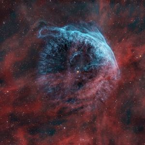 Full Portfolio Gallery