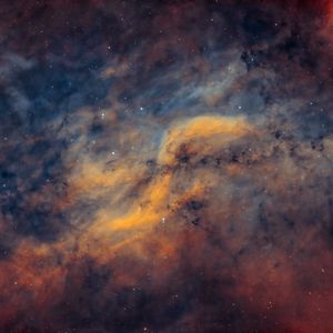 Full Portfolio Gallery