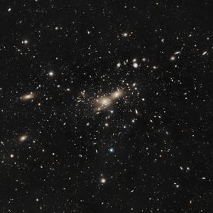 Wocial-Martin 1