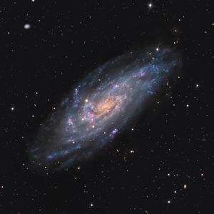 Full Portfolio Gallery