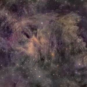 Wocial-Martin 1
