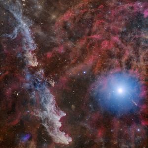 Full Portfolio Gallery