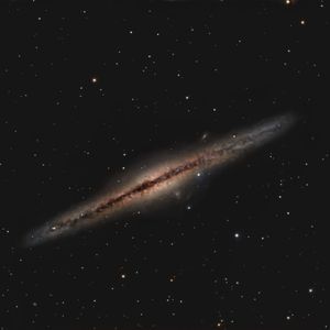 Full Portfolio Gallery