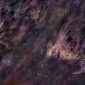 Wocial-Martin 1