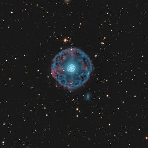 Wocial-Martin 1