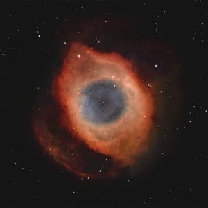 Full Portfolio Gallery