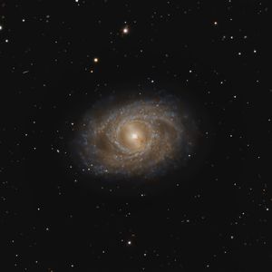 Full Portfolio Gallery